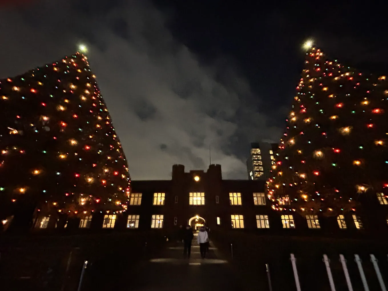 ボッケボケですまん