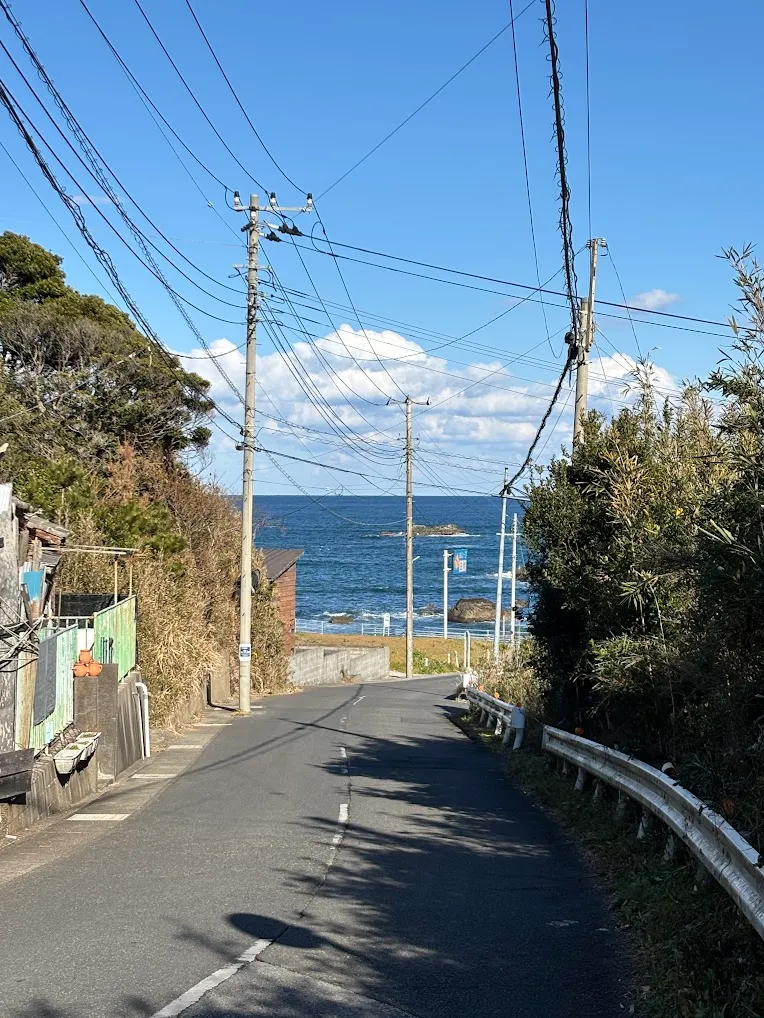 この写真すごくお気に入り